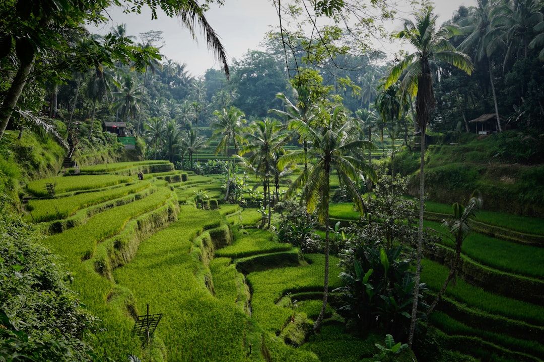 Authentic local experiences bali