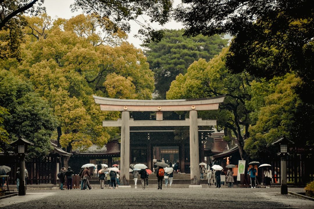 5. Meiji Jingu to Harajuku to Shibuya in Tokyo