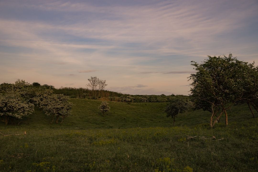 Serbia countryside nature landscape