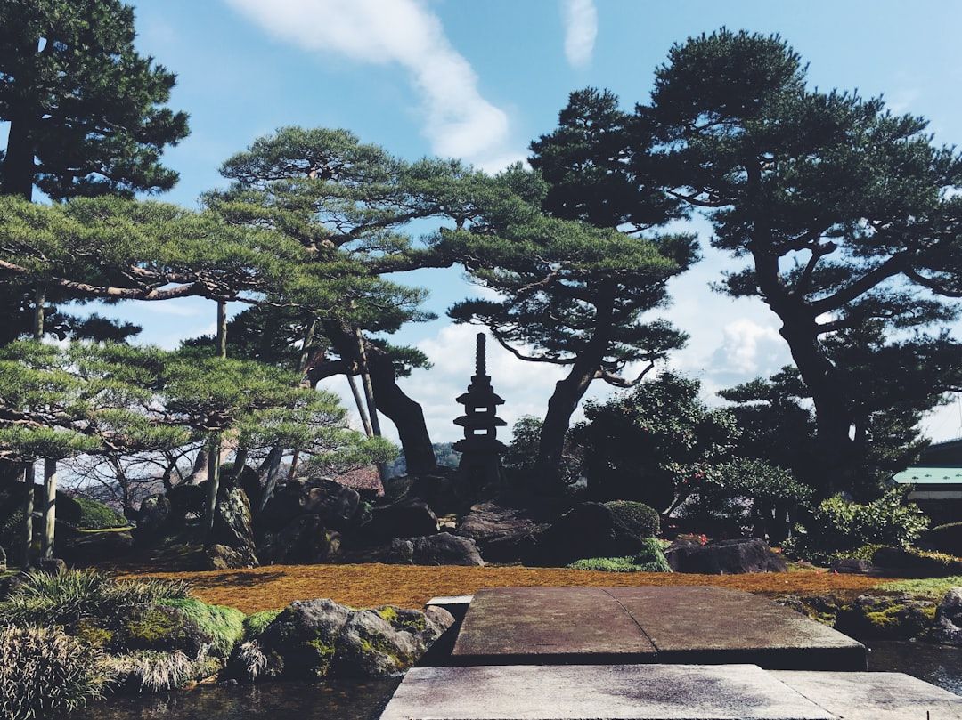 Pine trees and pond in Kenrokuen garden Kanazawa Ishikawa Japan