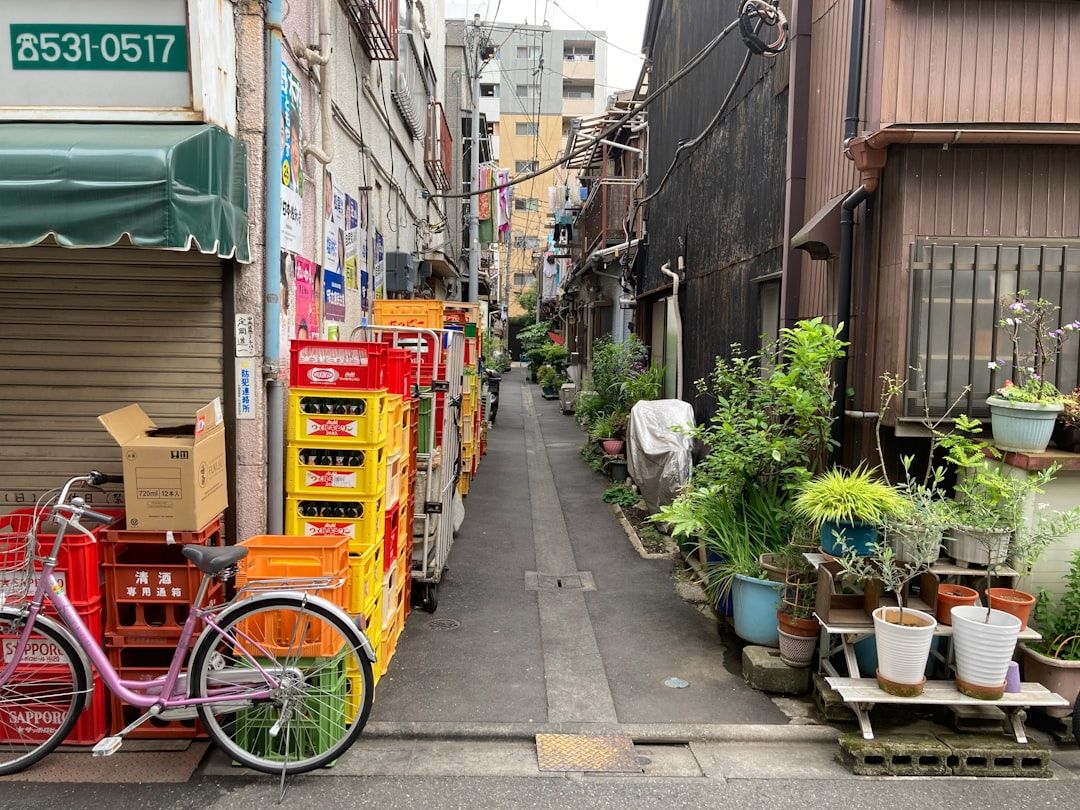 3. Kagurazaka — the stone lanes in Tokyo